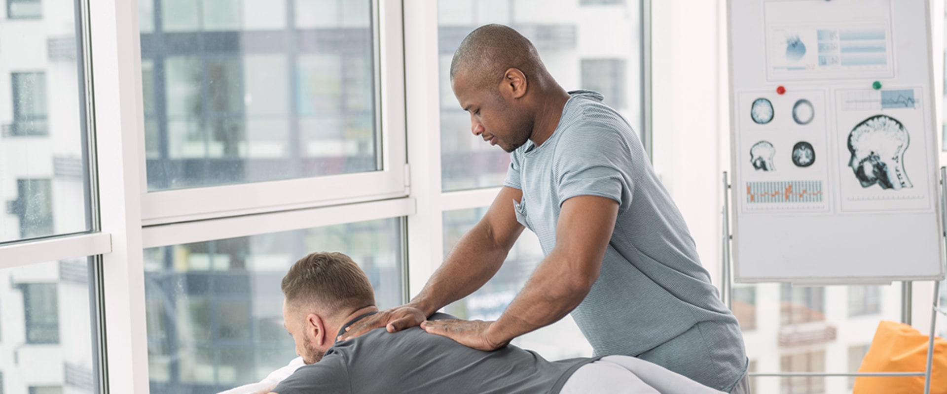 What is the Profession of Massage Therapy?